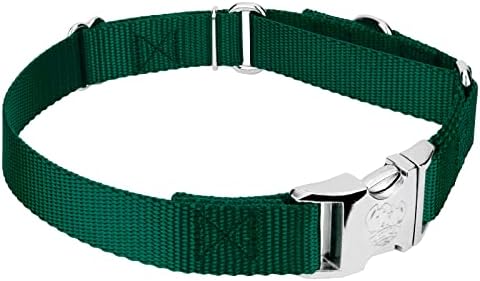 Country Brook Petz - Martingale Dog Collar - Heavy Duty Nylon Adjustable Martingale Dog Collar with Metal Buckle for Small Medium Large Breeds - 30+ Color Options (1 Inch, Extra Large, Green)