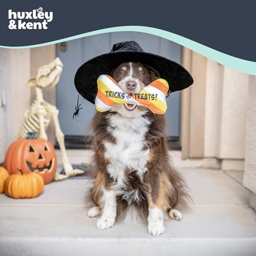 Huxley & Kent Halloween Funny Dog Toy w/Squeaker – Power Plush Squeaky Dog Toys for Small, Medium & Large Dogs – Soft Stuffed Animal for Indoor Play & Fetch - Tricks for Treats, One Size