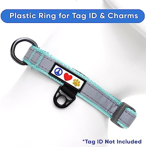 Pawtitas Camouflage Padded Reflective Dog Collar - Puppy Training Neoprene Behavioral Camo Collar XS Teal