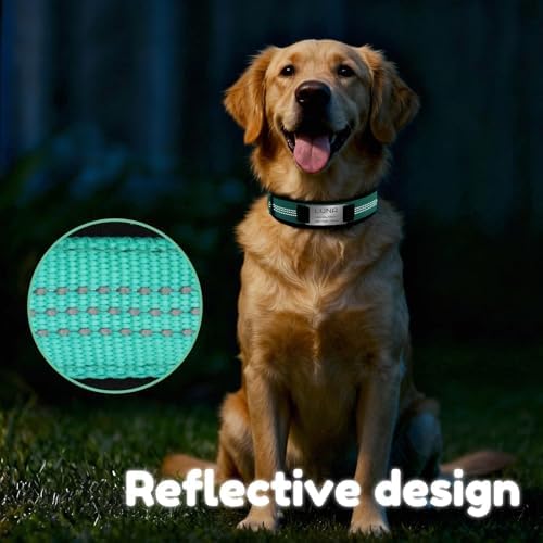 Reflective Personalized Dog Collar with Name Tag，Sky Blue：S