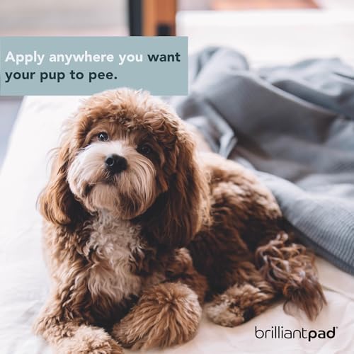 BrilliantPad Go Here! Puppy Potty Training Spray, Natural Attractant (4 oz)