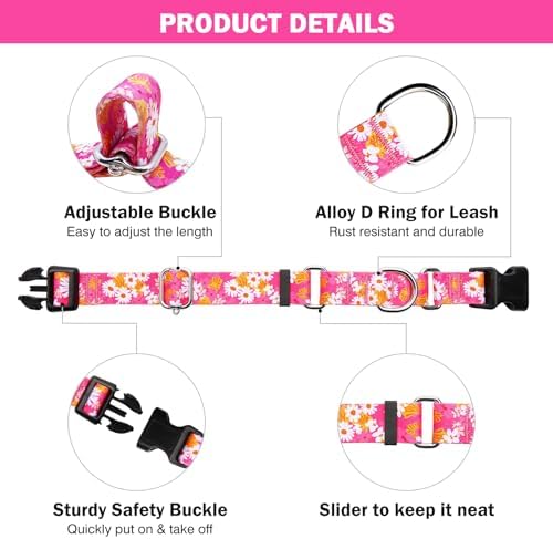 Hikiko Martingale Collar for Dogs with Special Pattern,Adjustable,S