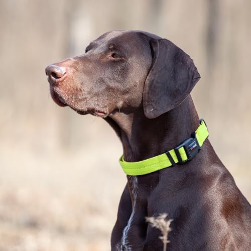 Dogline Lime Green Nylon Collar (W: 3/4" L: 13"-20")