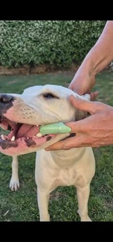 Happy Smile Dog Toothbrush 360° – Soft Silicone Finger Toothbrush for Dogs & Cats, Gentle Teeth Cleaning, BPA-Free, 2-Pack (Blue & Green)
