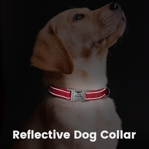 Silent Dog Collar Personalized with Name Phone Number Laser Engraved