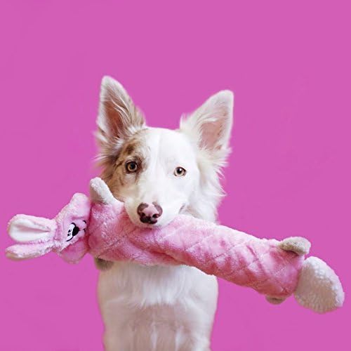 ZippyPaws Jigglerz - Dog Squeaky Toys to Keep Them Busy, Funny Animal Plush for Small, Medium, & Large Dogs, Cute Stuffed Puppy Toy, Pet Product, Gift for All Breeds, Interactive Squeaker - Bunny