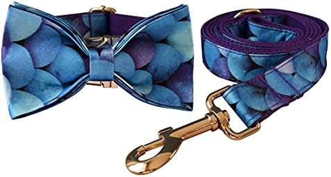 Custom Dog Collar with Names and Phone Number Engraved, Puppy Tags Personalized for Small Medium Large Pets