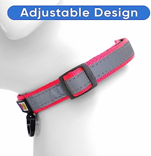 Pawtitas Personalized Reflective Padded Dog Collar with Name Phone Number - Adjustable Customized Pink Large Dog Collar