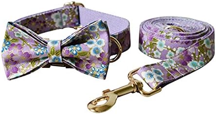 Custom Dog Collar with Names and Phone Number Engraved, Puppy Tags Personalized for Small Medium Large Pets