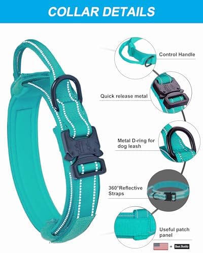 AUBELL Reflective Tactical Heavy Duty Dog Leash and Collar Set,Teal M