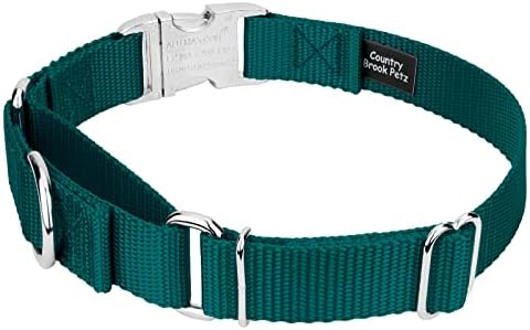Country Brook Petz - Martingale Dog Collar - Heavy Duty Nylon Adjustable Martingale Dog Collar with Metal Buckle for Small Medium Large Breeds - 30+ Color Options (1 Inch, Extra Large, Teal)