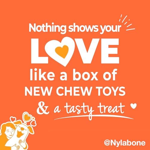 Nylabone Dog Gift Box, Strong Chew Toys & Treat, Large, 4 Count