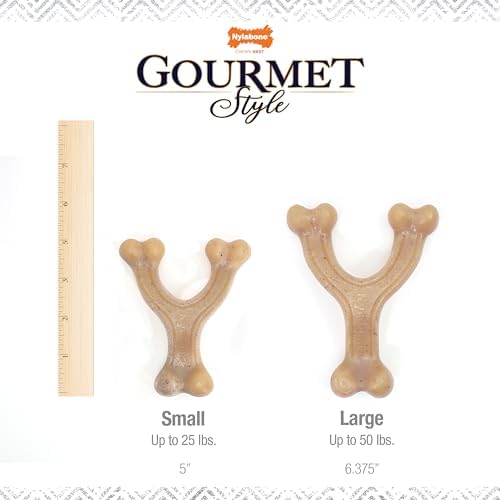 Nylabone Strong Chew Gourmet Style Wishbone Dog Chew Toy, Chicken Flavor