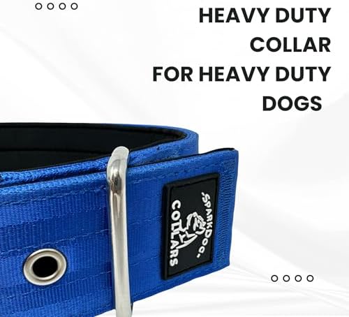 SparkDog 2" Padded Working Dog Collar (Blue, 2" Padded (16-21" Neck)