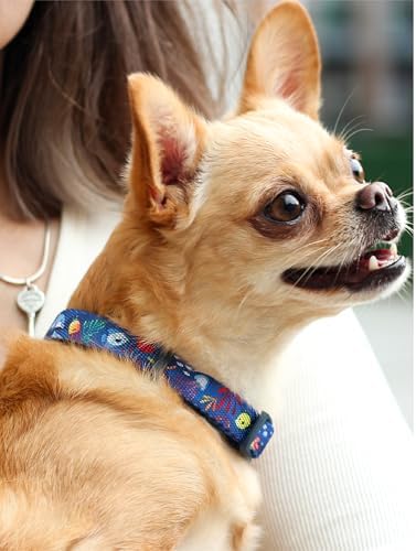 KIKI & RIKI Soft Nylon Dog Collar for Small Dogs, Adjustable, Quick-Release Buckle, Size S (Neck 9.4-14.6"), Blue Artist-Designed Print