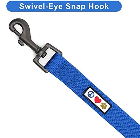 Pawtitas Personalized 6 ft Blue Dog Leash XS/S Custom Name and Phone Embroidery Strong Nylon Leash for Small Breeds
