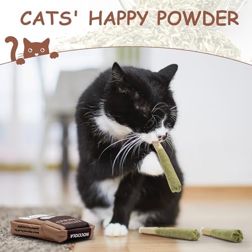 Nocciola 3 Pack Catnip Toys for Cats, Funny Cat Toys Filled with 100% Pure Organic Catnip, Safe Kitten Teething Chew and Kicker Toys, Stress Relieving Fun for Indoor Cats, Brown