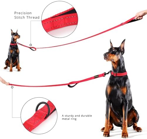 Plutus Pet Double Handle Dog Leash, 6 FT Long, for Medium Large Dogs