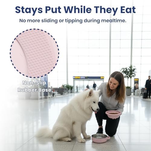 PawsPik 2-in-1 Travel Dog & Cat Bowl – Collapsible BPA-Free Silicone