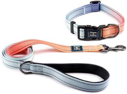 Roses&Poetry Personalized Samll Dog Collar and Leash Set, Puppy Reflective Dog Collars and Leashes with Gradient Azure, Adjustable Durable Pet Collars Leash for Small Dogs （Azure-S