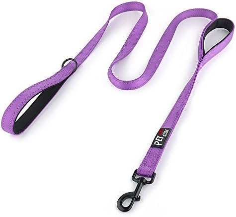 Plutus Pet Double Handle Dog Leash, 4 FT Long, for Medium Large Dogs