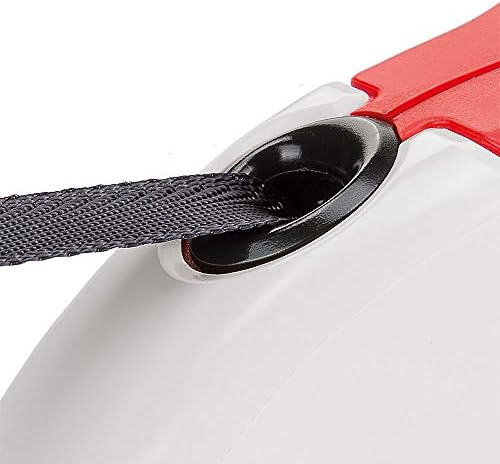 Ferplast Retractable Dog Lead Extendible Dog Leash Amigo Tape M, Extending Tape, 5 m, max 25 kg, Red