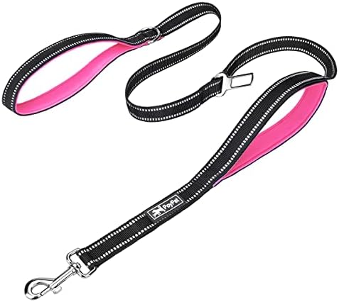 PoyPet 5 Feet Dog Leash with 2 Cushioned Handles (Pink)