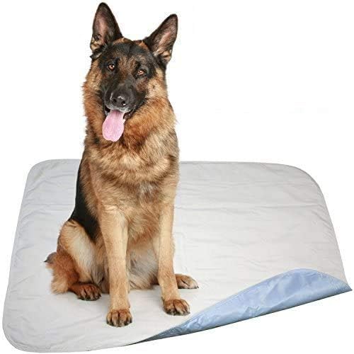 Careoutfit 2 Pack - 34 x 36 - Large Premium Heavyweight Waterproof Reusable Pet Mat/Quilted Washable Large Dog/Puppy Training Travel Pee Pads (Blue)