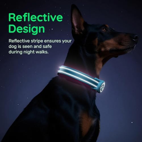 Premium Airtag Dog Collar，with IP68 Waterproof AirTag Holder,Blue,XS