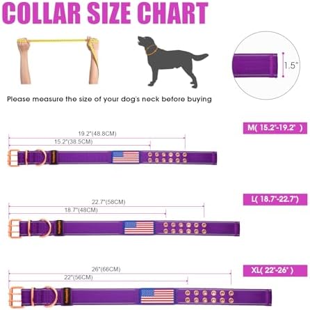 Heavy Duty Dog Collar for Medium Large Dogs,Purple,Medium