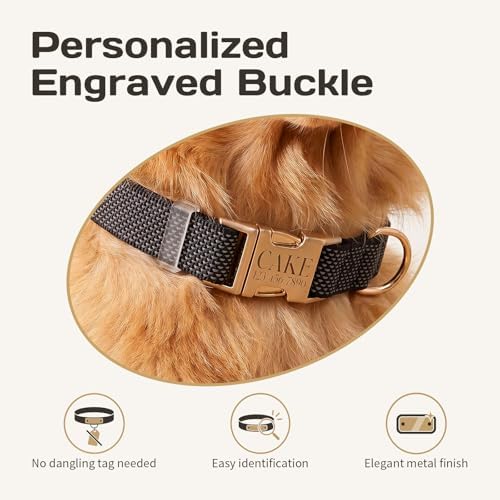 Custom Dog Collar with Name and Phone Number