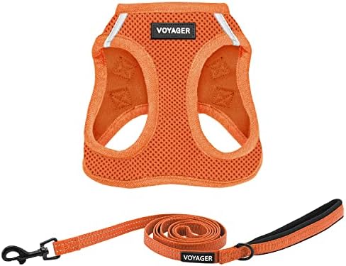 Best Pet Supplies Voyager Step-in Air All Weather Mesh Harness and Reflective Dog 5ft Leash Combo with Neoprene Handle, for Small, Medium and Large Breed Puppies - Orange, X-Large
