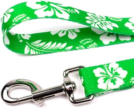 Country Brook Petz - Kelly Green Hawaiian Everyday Dog Leash - Summer Breeze Collection Featuring Sunny Designs (6 Foot, 1/2 Inch Wide)