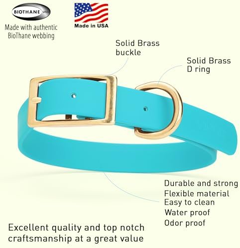 Viper Biothane Heavy Duty Waterproof Dog Collar Strong Coated Nylon Webbing w/Solid Brass Hardware Odor-Proof Easy to Clean High Performance Fits Small Medium or Large Dogs, Sky Blue
