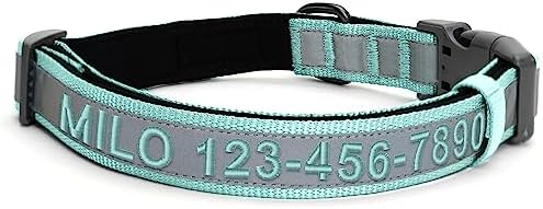 Pawtitas Personalized Dog Collar Reflective Dog Collar Padded Dog Collar with Name Phone Number Puppy Collar Adjustable Customized Collar for Large Dogs Breeds | Customized Teal Large Dog Collar
