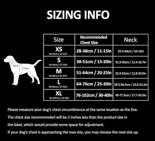 WINHYEPET True Love No Pull Dog Harness Extra Reflective Pet Harness for Small Medium Large Dogs Adjustbale for Running Walking Padded Soft Mesh Vest Easy Control TLH56512(Blue,XL)