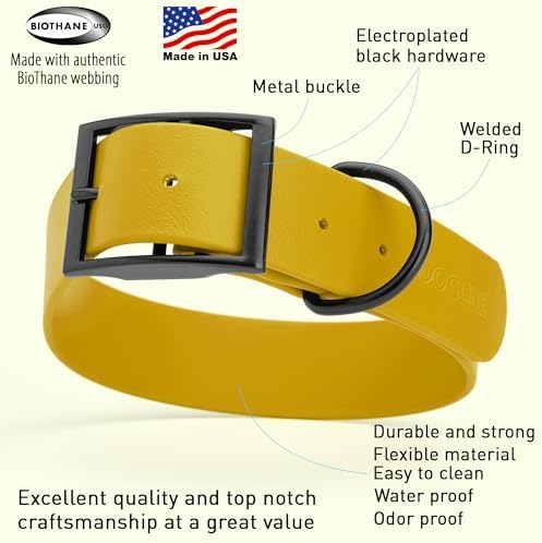 Dogline Biothane Waterproof Dog Collar Strong Coated Nylon Webbing with Black Hardware Odor- Proof for Easy Care Easy to Clean High Performance Fits Small Medium or Large Dogs, Treasure Gold