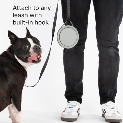 Cleverpup Nomad Small Collapsible Travel Dog Bowl - 2 Cup, Grey