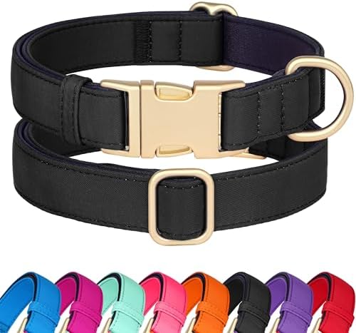 Didog Soft Padded Dog Collar for Small Dogs, Black, S Neck 10-15"