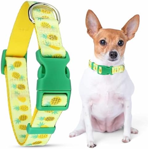 Parisian Pet Pineapple Dog Collar - Adjustable Girl Pet Collar with Secure Buckle and Metal D-Ring - Comfortable Designer Yellow Puppy Collars - Durable Nylon Dog Collars for Medium Dogs