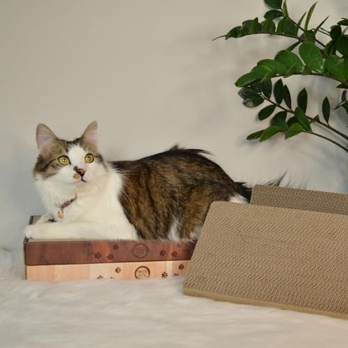 Necoichi Cardboard Cat Scratcher Bed for Indoor Cats - Cat Scratching Board (16" Regular, c. Replacement 2 Pads)