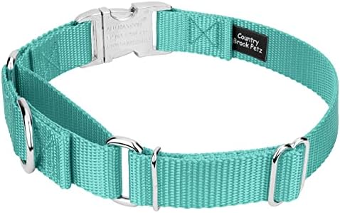 Country Brook Petz - Martingale Dog Collar - Heavy Duty Nylon Adjustable Martingale Dog Collar with Metal Buckle for Small Medium Large Breeds - 30+ Color Options (3/4 Inch, Small, Light Cyan)