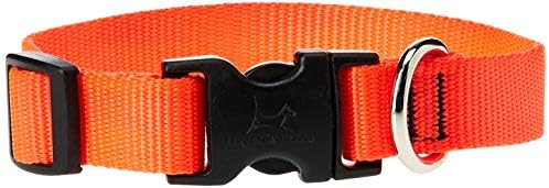 LupinePet Basics 3/4" Blaze Orange 9-14" Adjustable Collar for Small Dogs