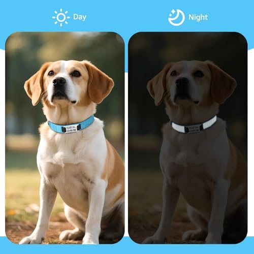 Personalized Reflective Dog Collar, Custom Engraved ID Tag Collar with Name & Phone Number Plate, Soft Neoprene Padded, Adjustable Nylon Collar for Small Medium Large Dogs (Silver ID Tag)