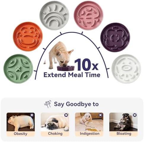 Ceramic Slow Feeder Dog Bowl - Feeding Dish for Fast Eaters - Maze Dog Bowl to Slow Down Eating - Ideal Food Control Dish for Small Breeds - 0.8 Cups (80g) - 6.3 Inch - White