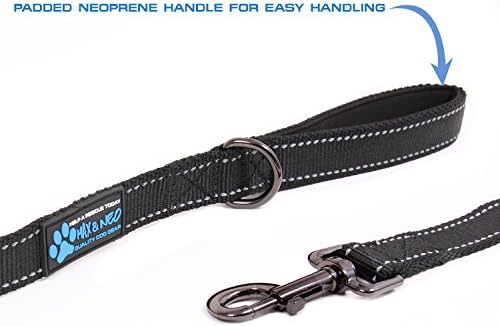 Max and Neo Reflective Nylon Dog Leash - Purple, 4 Feet