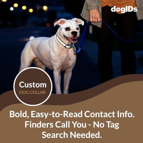 dogIDs Personalized Reflective Waterproof ScruffTag Dog Collar - Custom, Soft Grip, Safe Adjustable, Odor Resistant - Green, 1 in x 22 in (Fits Neck Sizes: 20-24 in)