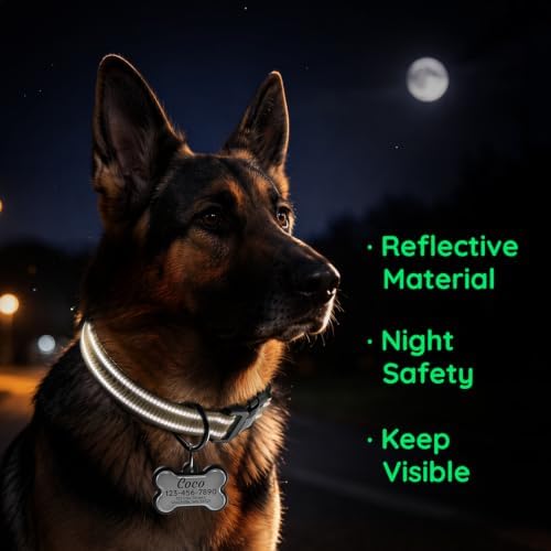Personalized Dog Collar and Dog Tag Set,Comfortable for Medium Large Dogs