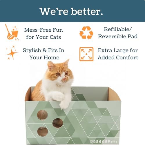 No-Mess Cardboard Cat Scratcher Box - Refillable Double-Sided Scratch Pad