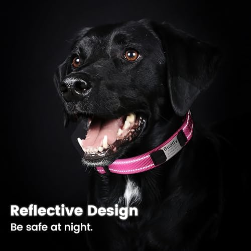 Nylon Personalized Dog Collars - Reflective Dog Collar with Name Tag Engraved, Soft Neoprene Padded Breathable Dog Collar Adjustable for Small/Medium/Large Dogs (Rose, M)